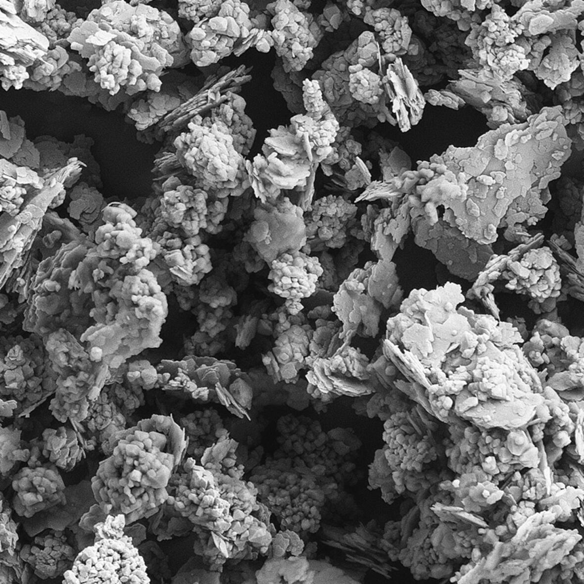 Structure Neuburg Siliceous Earth